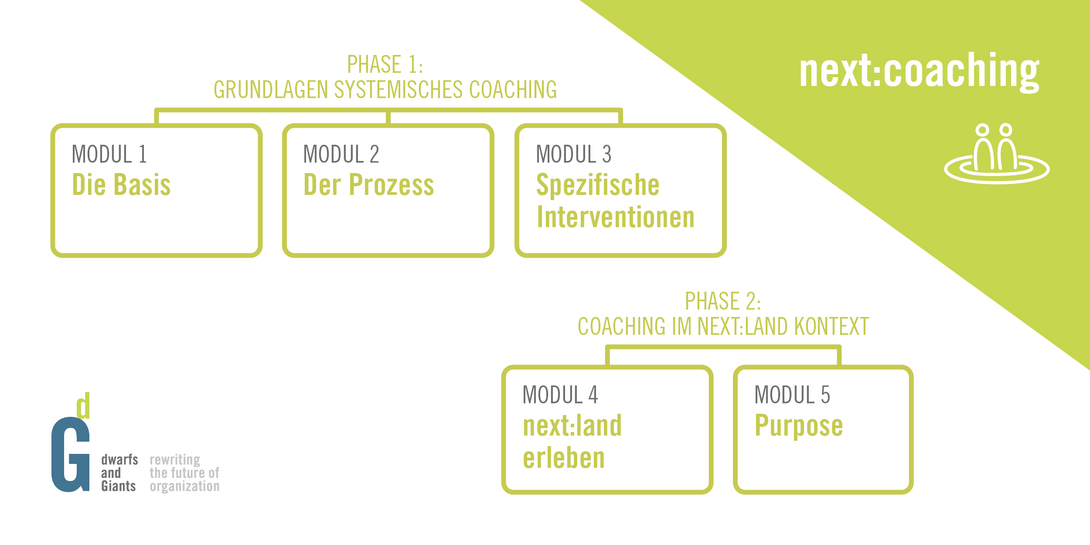 next:coaching Module